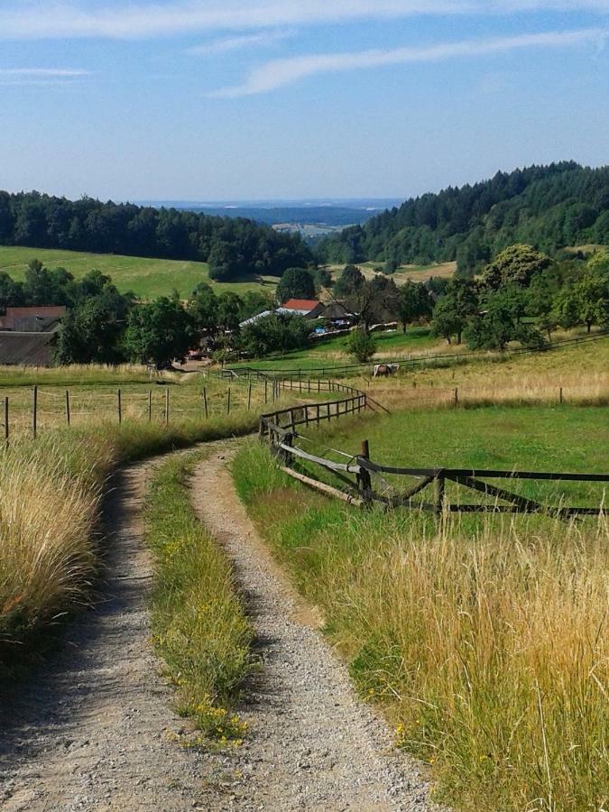 Fewo Am Neckarsteig Неккарштайнах Экстерьер фото